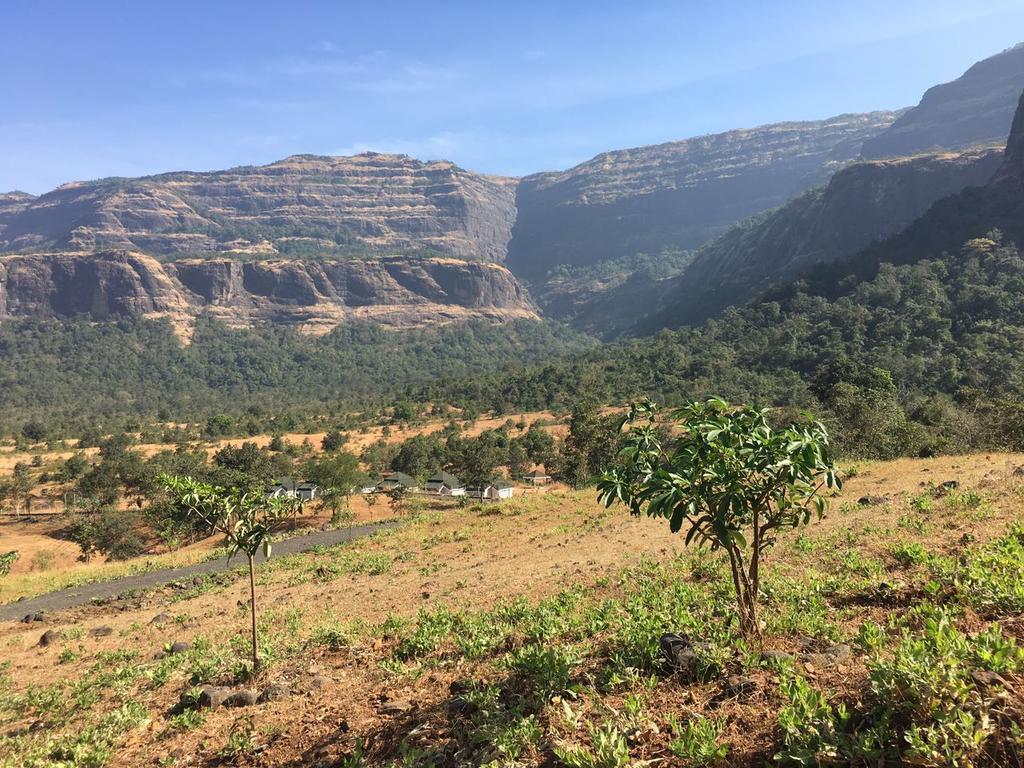 Jamrung Hillside Camping Jambrung Ngoại thất bức ảnh